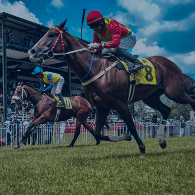 Beyond the Basics: Advanced Horse Racing Betting Strategies