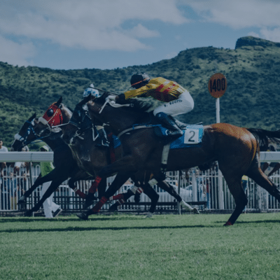 From Beginner to Winner: A Guide to Horse Racing Betting for Beginners UK